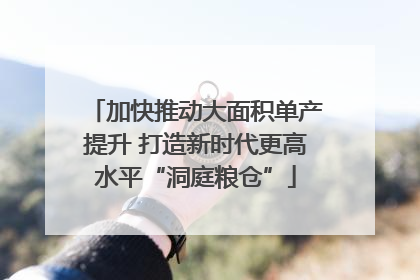 加快推动大面积单产提升 打造新时代更高水平“洞庭粮仓”