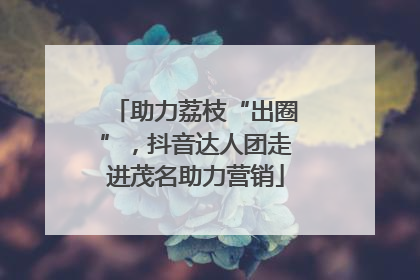 助力荔枝“出圈”，抖音达人团走进茂名助力营销