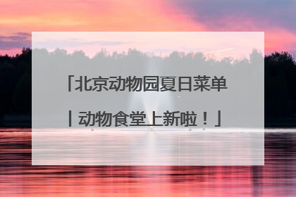 北京动物园夏日菜单丨动物食堂上新啦！