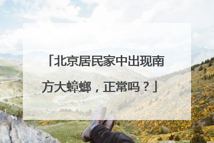北京居民家中出现南方大蟑螂，正常吗？