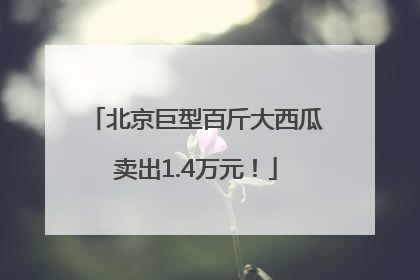 北京巨型百斤大西瓜卖出1.4万元！