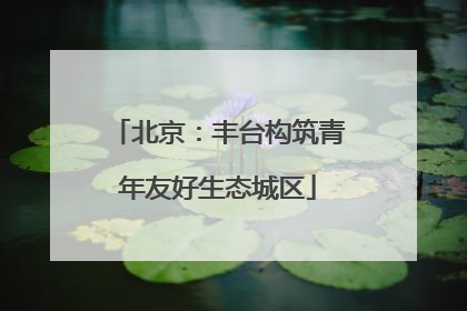 北京：丰台构筑青年友好生态城区