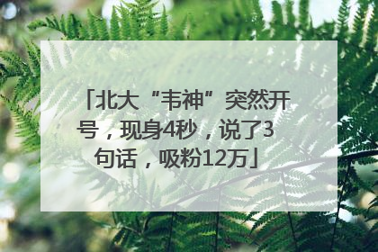 北大“韦神”突然开号，现身4秒，说了3句话，吸粉12万