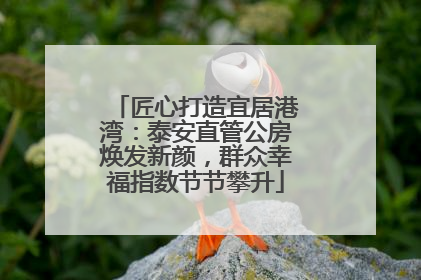 匠心打造宜居港湾：泰安直管公房焕发新颜，群众幸福指数节节攀升