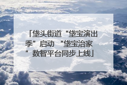 垡头街道“垡宝演出季”启动 “垡宝治家”数智平台同步上线