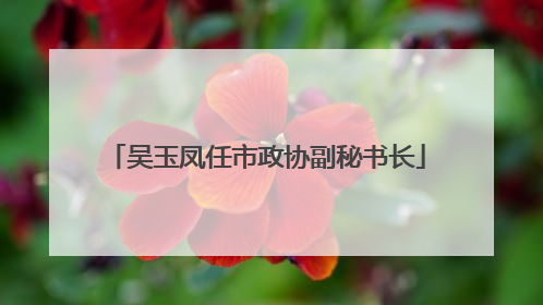 吴玉凤任市政协副秘书长