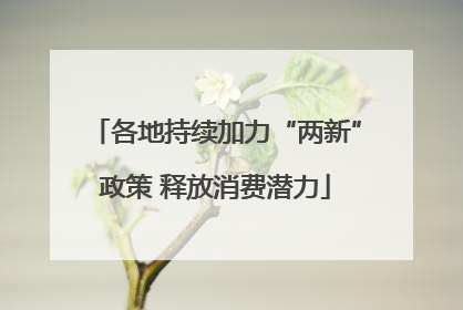 各地持续加力“两新”政策 释放消费潜力