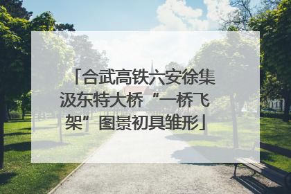 合武高铁六安徐集汲东特大桥“一桥飞架”图景初具雏形