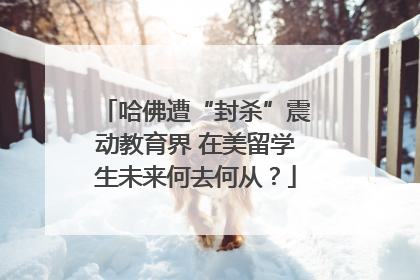 哈佛遭“封杀”震动教育界 在美留学生未来何去何从？