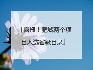 喜报！肥城两个项目入选省级目录