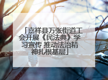 嘉祥县万张街道工会开展《民法典》学习宣传 推动法治精神扎根基层