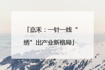 嘉禾：一针一线“绣”出产业新格局