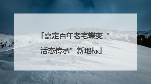 嘉定百年老宅蝶变“活态传承”新地标