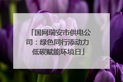 国网瑞安市供电公司：绿色同行添动力 低碳赋能环境日