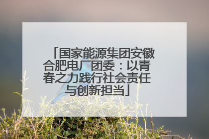 国家能源集团安徽合肥电厂团委：以青春之力践行社会责任与创新担当