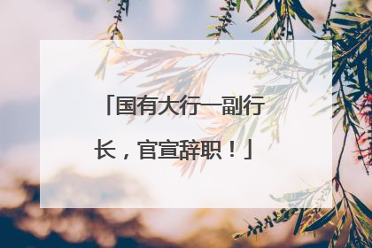 国有大行一副行长，官宣辞职！