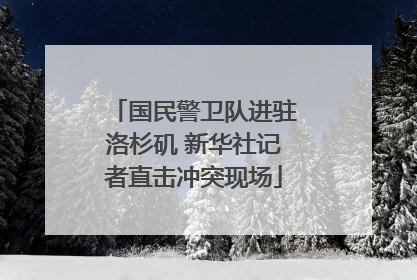 国民警卫队进驻洛杉矶 新华社记者直击冲突现场