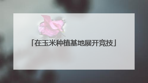 在玉米种植基地展开竞技