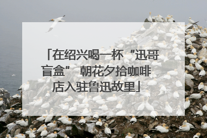 在绍兴喝一杯“迅哥盲盒” 朝花夕拾咖啡店入驻鲁迅故里
