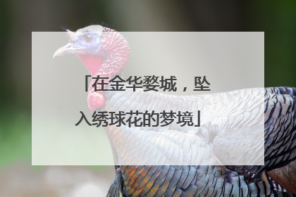 在金华婺城，坠入绣球花的梦境