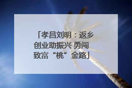 孝昌刘明：返乡创业助振兴 勇闯致富“桃”金路