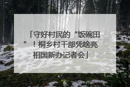 守好村民的“饭碗田”！桐乡村干部凭啥亮相国新办记者会