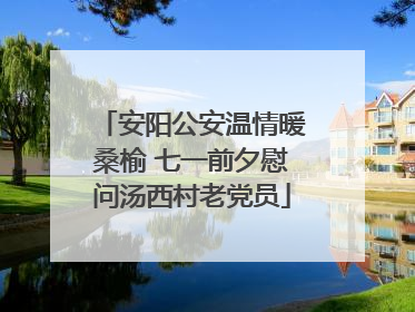 安阳公安温情暖桑榆 七一前夕慰问汤西村老党员