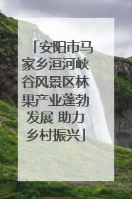 安阳市马家乡洹河峡谷风景区林果产业蓬勃发展 助力乡村振兴