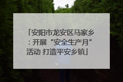 安阳市龙安区马家乡：开展“安全生产月”活动 打造平安乡镇