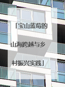 宝山蓝莓的山海跨越与乡村振兴实践
