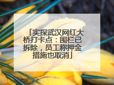 实探武汉网红大桥打卡点：围栏已拆除，员工称押金措施也取消