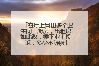 客厅上冒出多个卫生间、厨房，出租房如此改，楼下业主投诉：多少不舒服