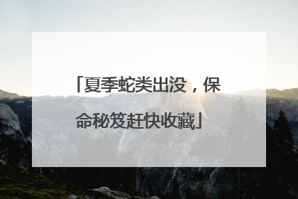 夏季蛇类出没，保命秘笈赶快收藏