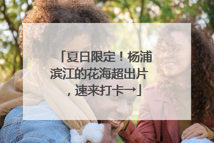 夏日限定！杨浦滨江的花海超出片，速来打卡→