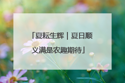 夏耘生辉｜夏日顺义满是农趣期待