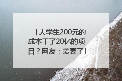 大学生200元的成本干了20亿的项目？网友：羡慕了