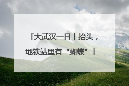 大武汉一日丨抬头，地铁站里有“蝴蝶”