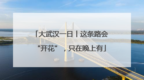 大武汉一日丨这条路会“开花”，只在晚上有