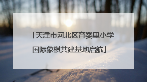 天津市河北区育婴里小学国际象棋共建基地启航