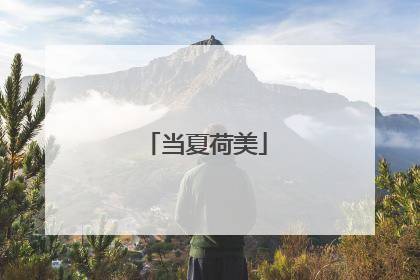 当夏荷美