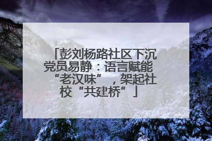彭刘杨路社区下沉党员易静：语言赋能“老汉味”，架起社校“共建桥”