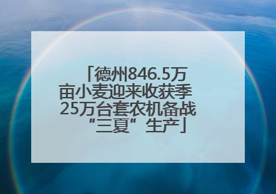 德州846.5万亩小麦迎来收获季 25万台套农机备战“三夏”生产