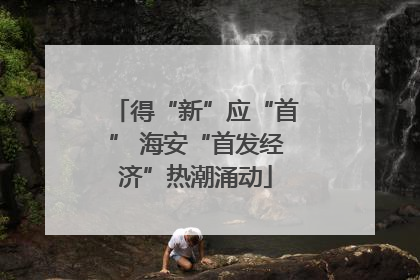 得“新”应“首” 海安“首发经济”热潮涌动