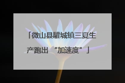 微山县驩城镇三夏生产跑出 “加速度”