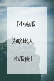 小南瓜为啥比大南瓜贵