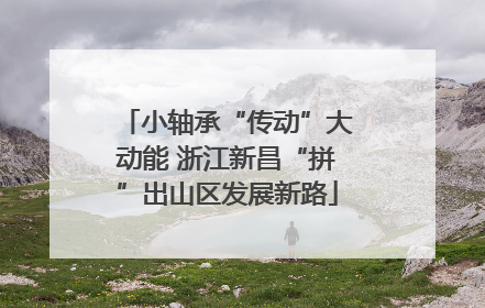 小轴承“传动”大动能 浙江新昌“拼”出山区发展新路