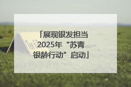 展现银发担当 2025年“苏青银龄行动”启动