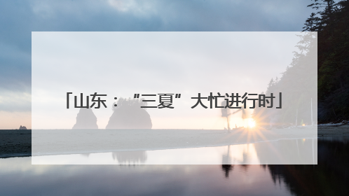 山东：“三夏”大忙进行时