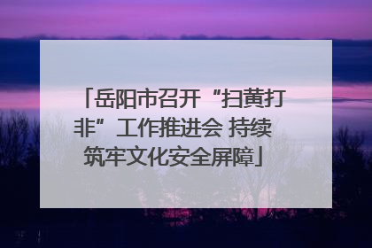 岳阳市召开“扫黄打非”工作推进会 持续筑牢文化安全屏障