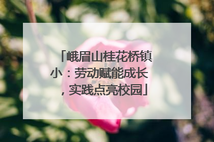 峨眉山桂花桥镇小：劳动赋能成长，实践点亮校园